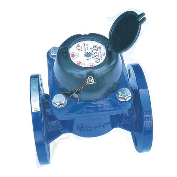 Đồng hồ đo lưu lượng nước 2 inch